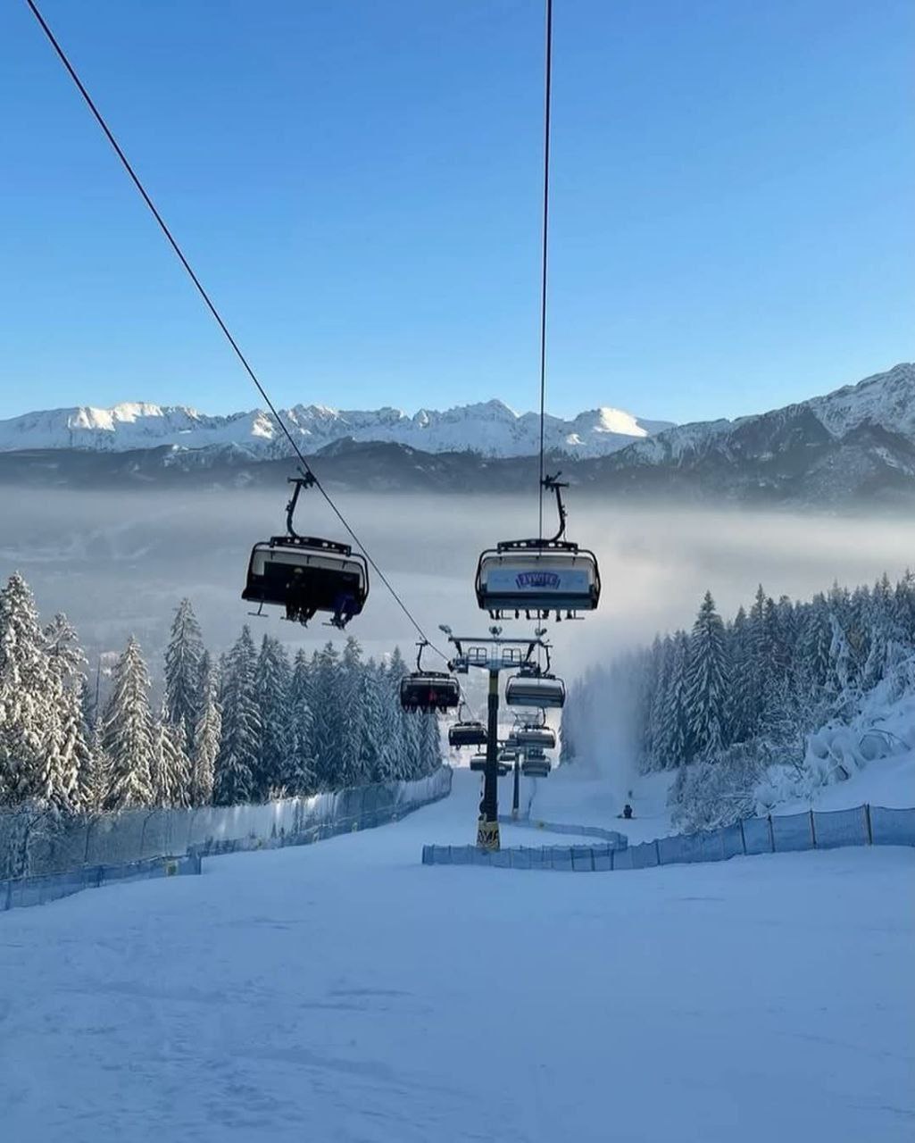 photo_2025-11-19 08.25.53